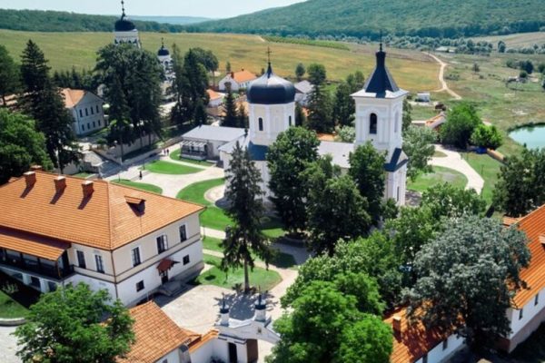 Nature conservation in Predovac: an attempt to save nature